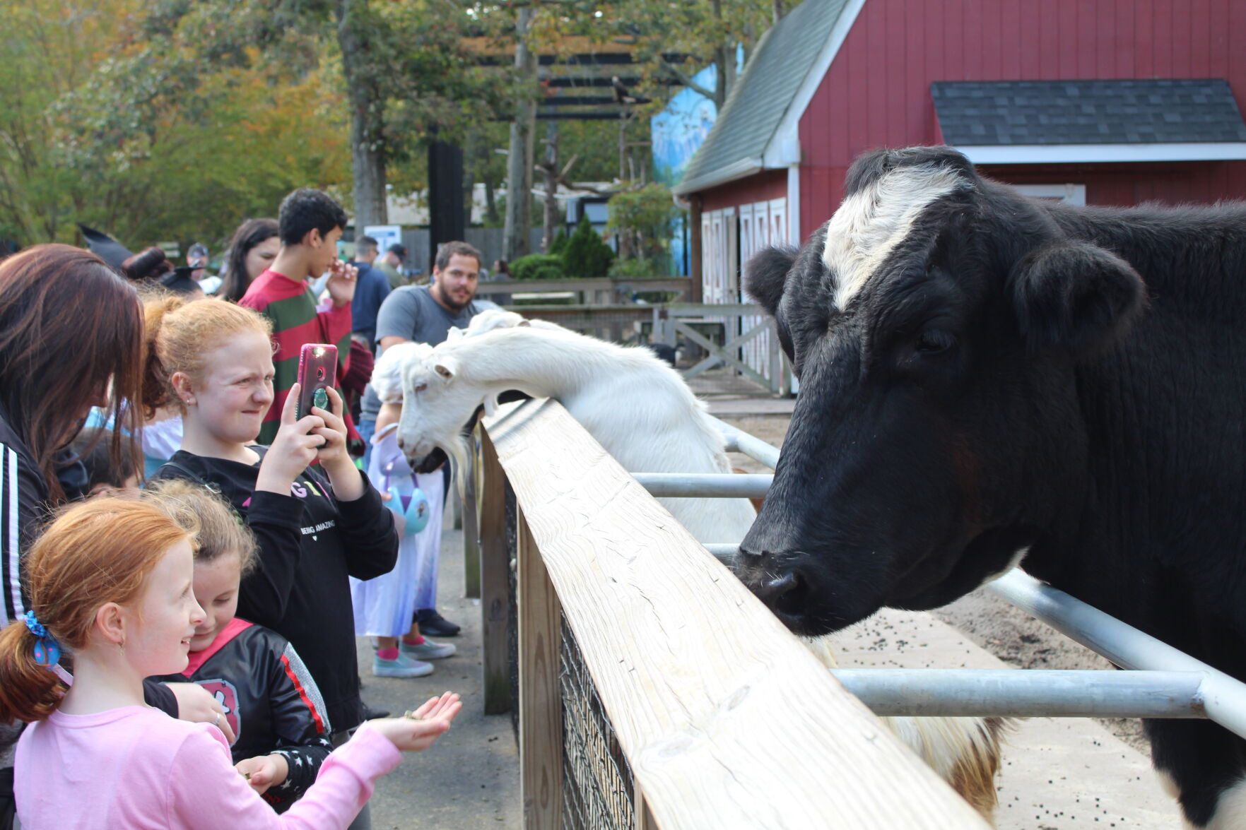 Boo at the Zoo_6648.JPG